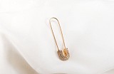 Pin earring